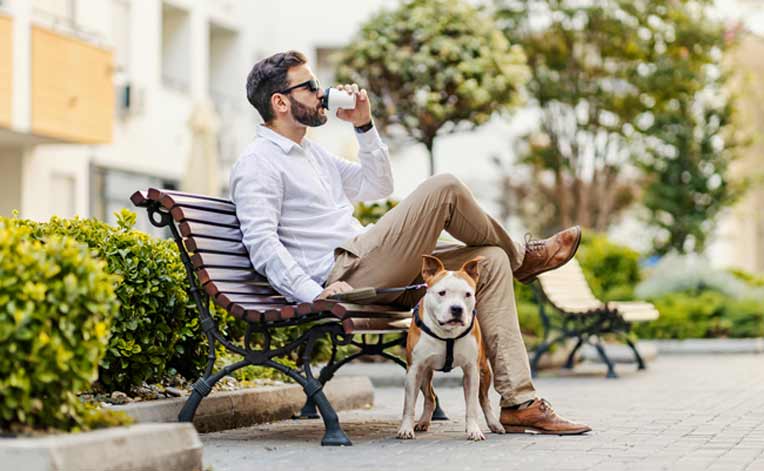 A man with his dog on a public bench drinking coffee with downtown Arlington in the background.